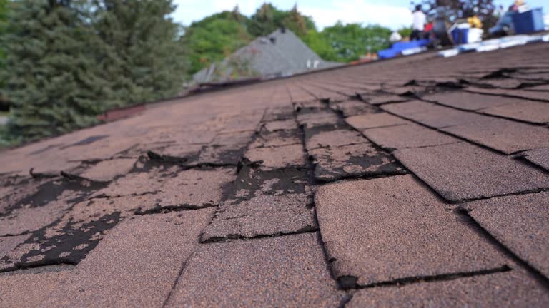 Best Roof Inspection  in Oakridge, OR